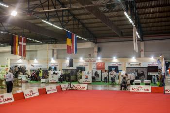 EXHIBITION STANDS ROYAL CANIN|DOG FESTIVAL 001